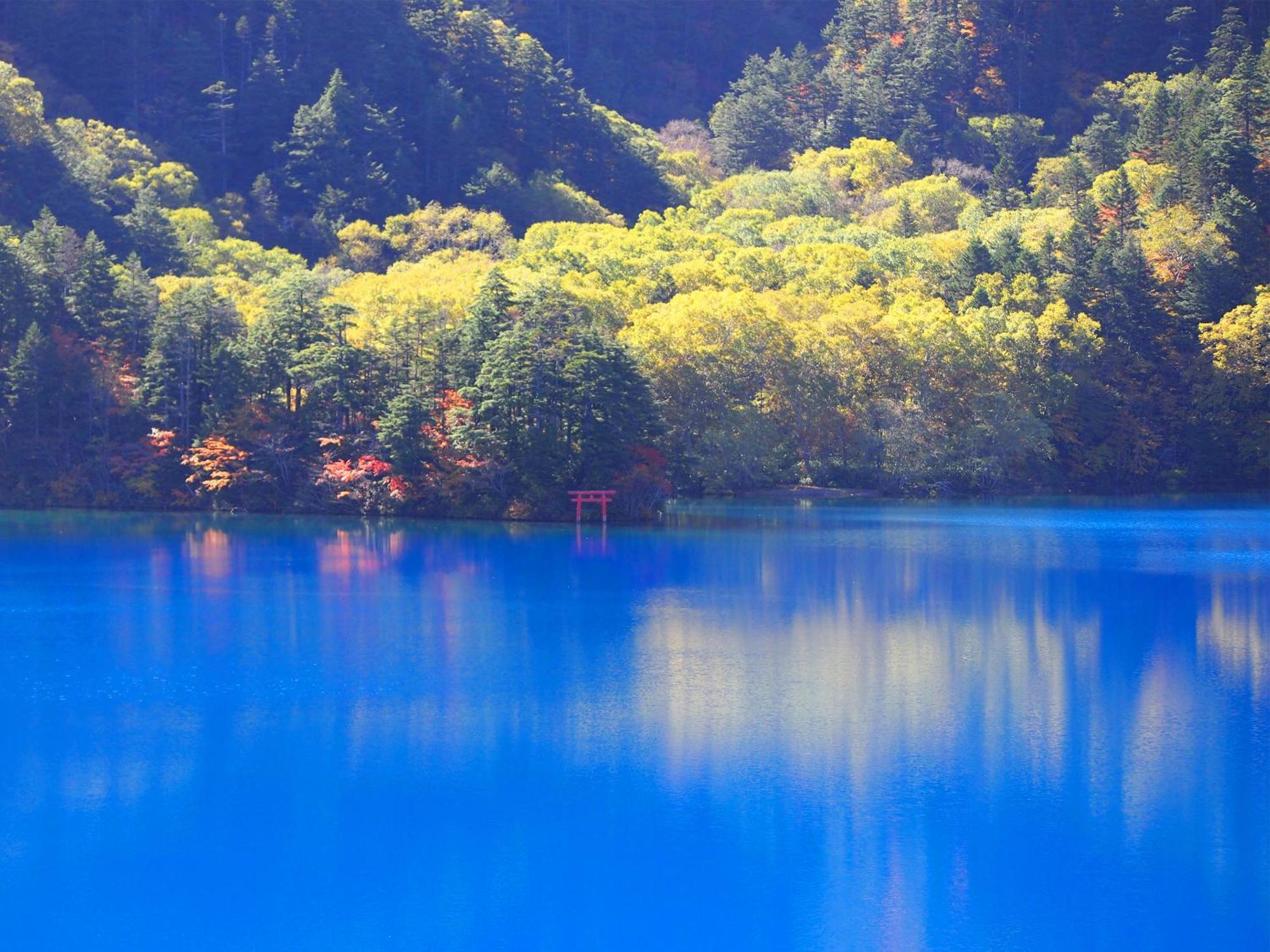 Hotel Ichinose Yamanouchi  Luaran gambar