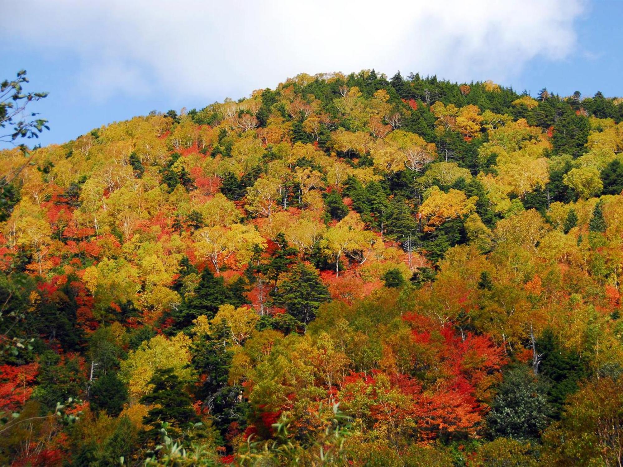 Hotel Ichinose Yamanouchi  Luaran gambar